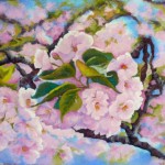 Cerisier en fleur-pastel-Patricia Sannier