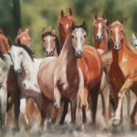 Troupeau chevaux en liberté - Pastel sec - Art Trégor