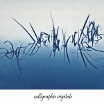 cyanotype -Michel Adnot - photographie numérique