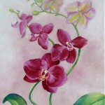 Orchidée - huile - Patricia Sannier