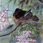 Oiseau sur Glycine - Peinture chinoise gongbi - Art Trégor