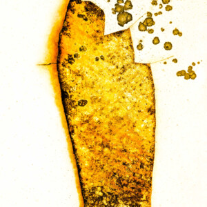 Enigme JY Le Pennec artiste photographe