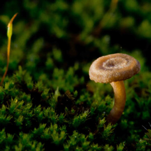 Rencontre JY Le Pennec artiste photographe