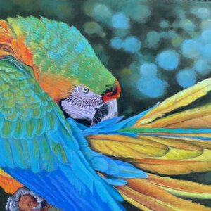 Douceur Tropicale, pastel