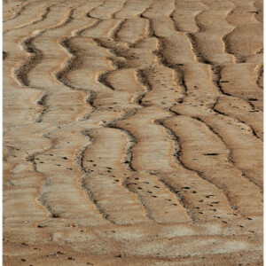 Frelin Jean-Francois