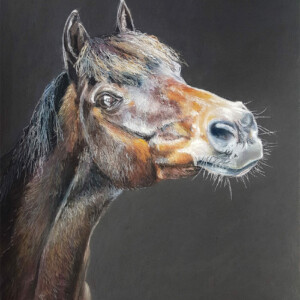 Picatchou, portrait cheval, pastel