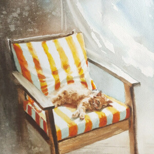 La sieste du chat, aquarelle aquarelle Marc Broudic