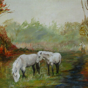Les chevaux du marais du Quellen Les chevaux du marais du Quellen