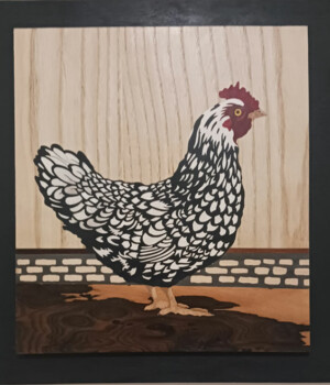 La poule Coucou de Rennes