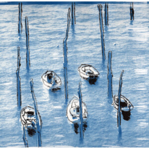 Cyanotype, Port de Gwin-Zegal