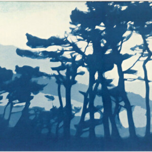 Cyanotype, Rivage